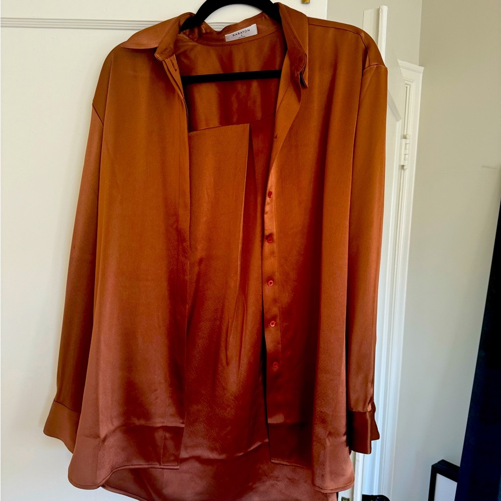 Aritzia Babaton Silk Button Down Size S